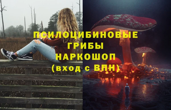ГАЛЛЮЦИНОГЕННЫЕ ГРИБЫ Верхний Тагил