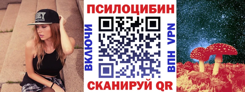 где найти наркотики  Кашира  Псилоцибиновые грибы Cubensis 